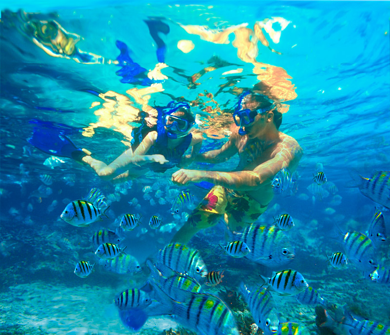 Xel-Há สวนน้ำดำน้ำตื้นใน Riviera Maya