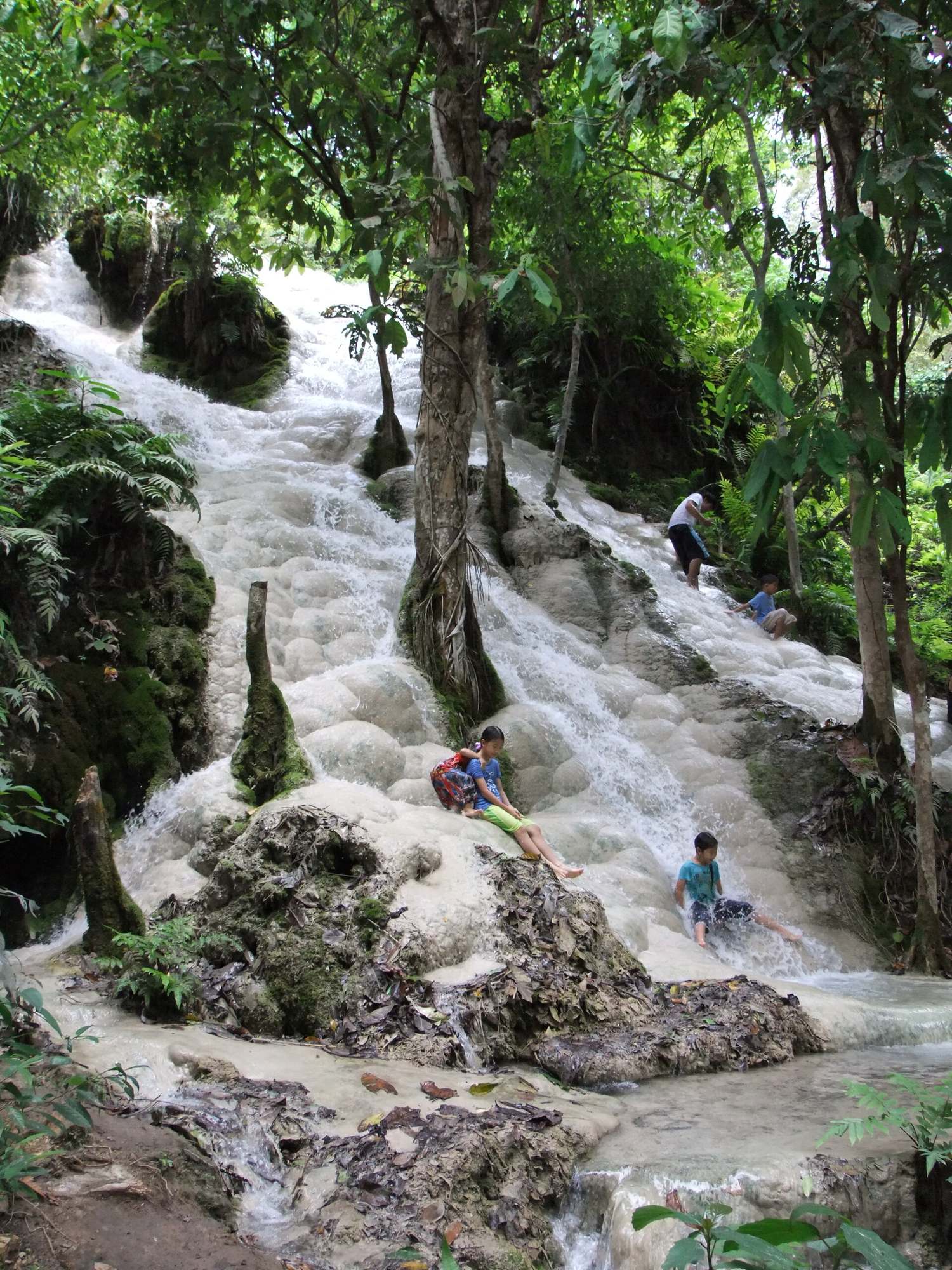 Visitors walking barefoot up the pale limestone face of Bua Tong Sticky Waterfall in Chiang Mai, surrounded by green forest