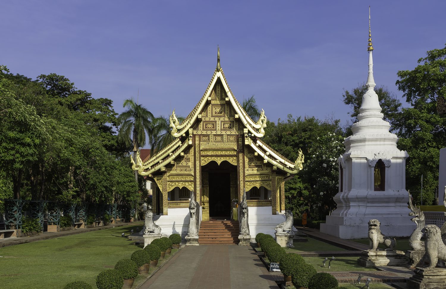 วิหารลายคำและพระธาตุเจดีย์สีขาวปิดทอง วัดพระสิงห์ เชียงใหม่ มีบันไดนาคและสิงห์เฝ้าหน้าวิหาร