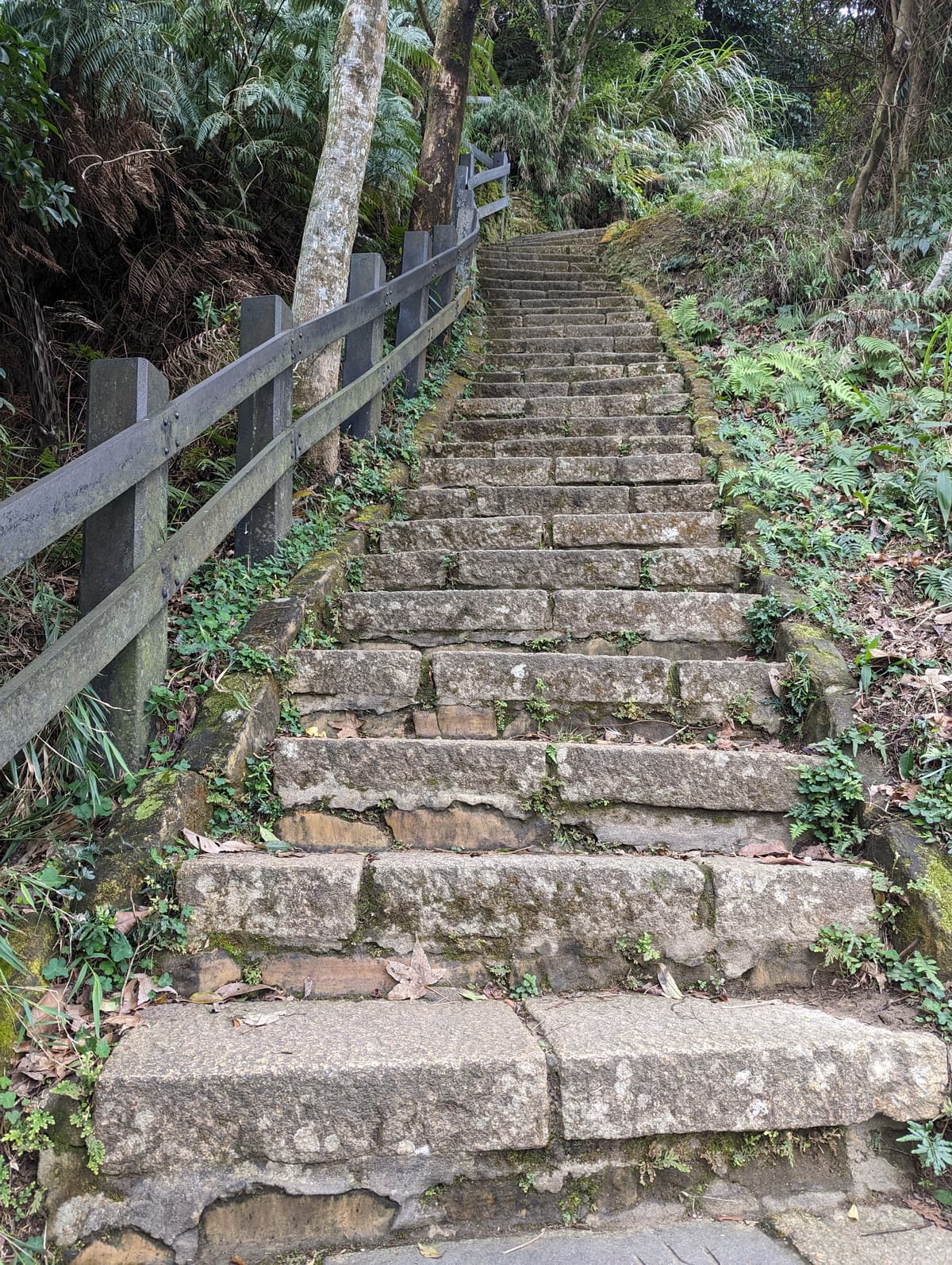 Narrow, steep stone steps on the Elephant Mountain (Xiangshan) hiking trail in Taipei, shaded by green trees on both sides