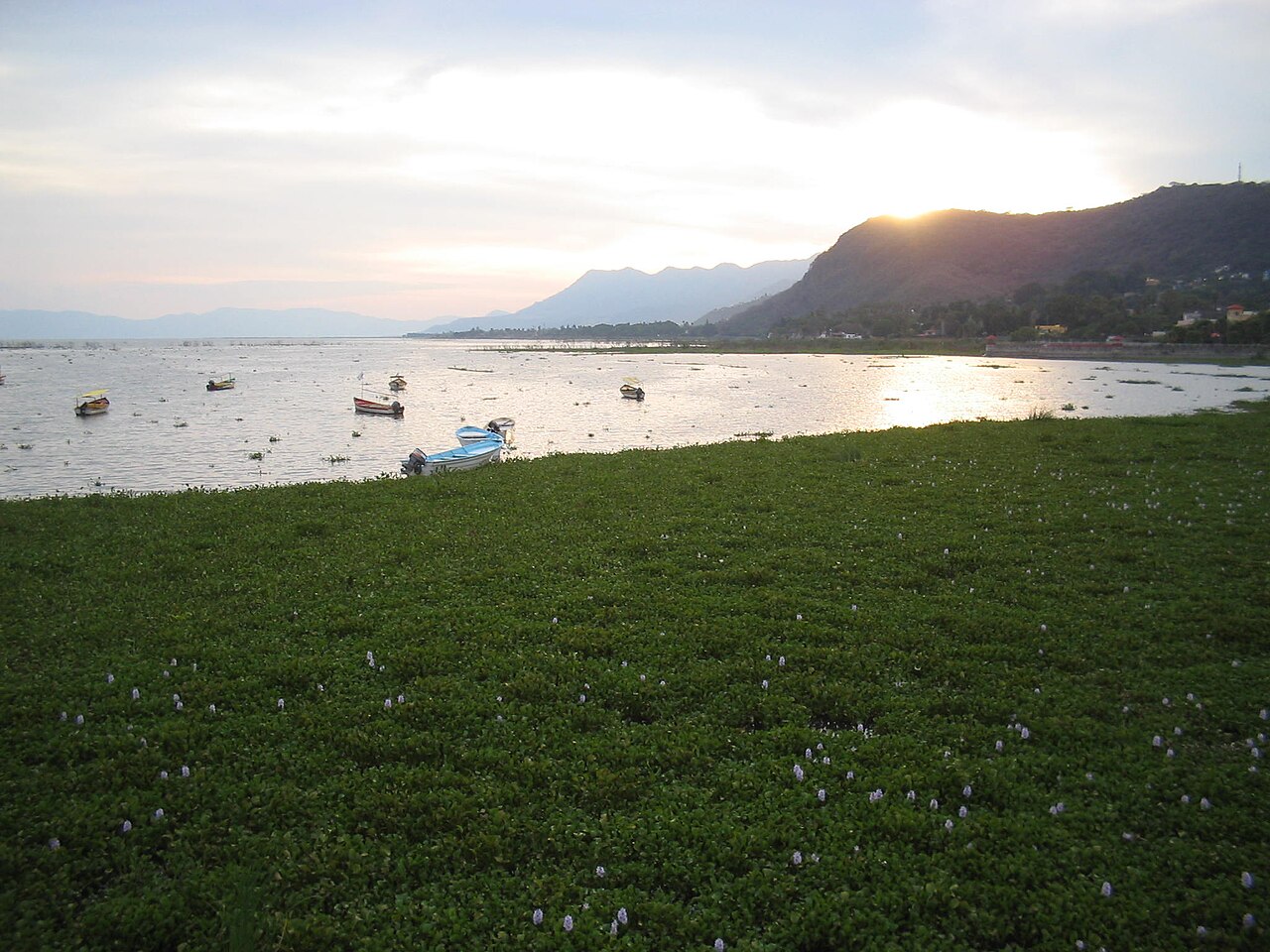 Lake Chapala Jalisco