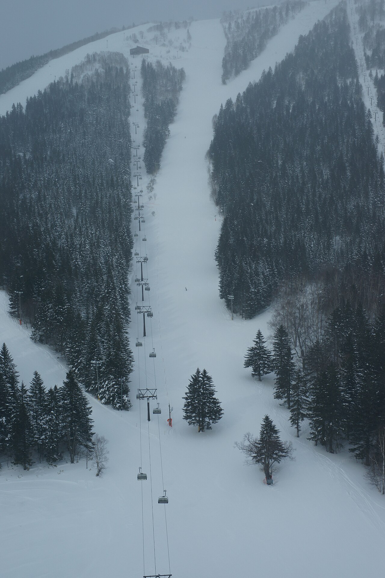 A chairlift climbing the forested mountainside at Hoshino Resorts Tomamu in Hokkaido