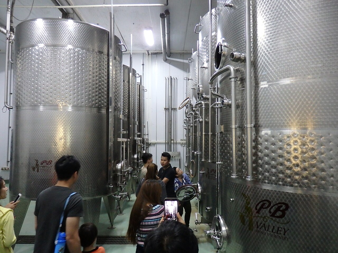 ห้องหมักไวน์ PB Valley Khao Yai Winery — ถังสเตนเลสขนาดใหญ่กับกลุ่มนักท่องเที่ยวที่มาทัวร์ไร่