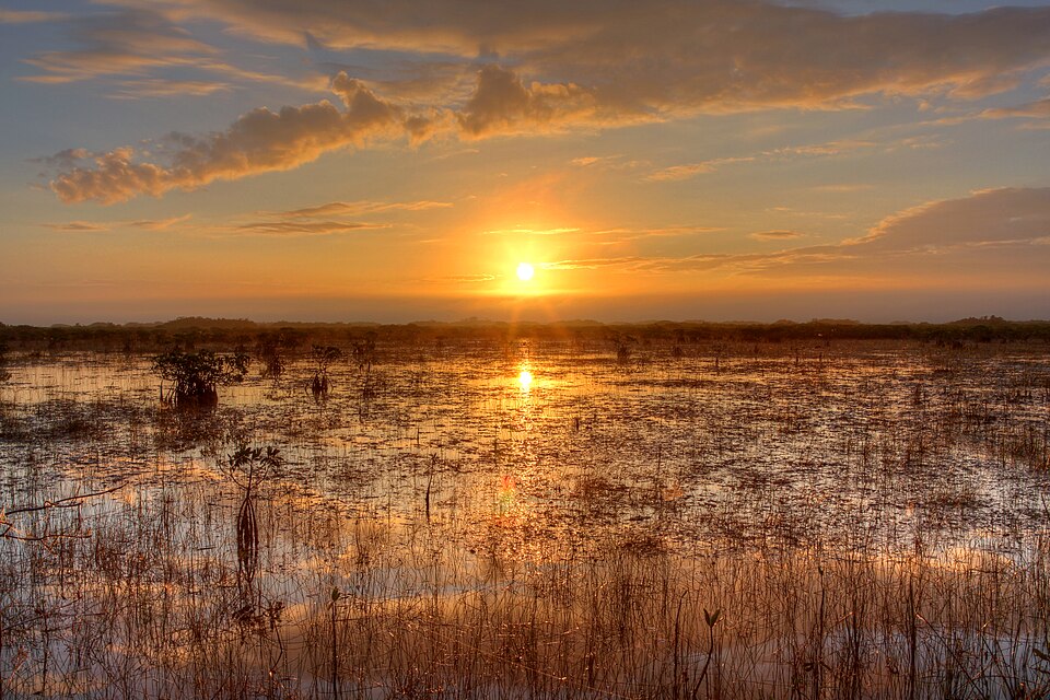 Everglades National Park ไมอามี