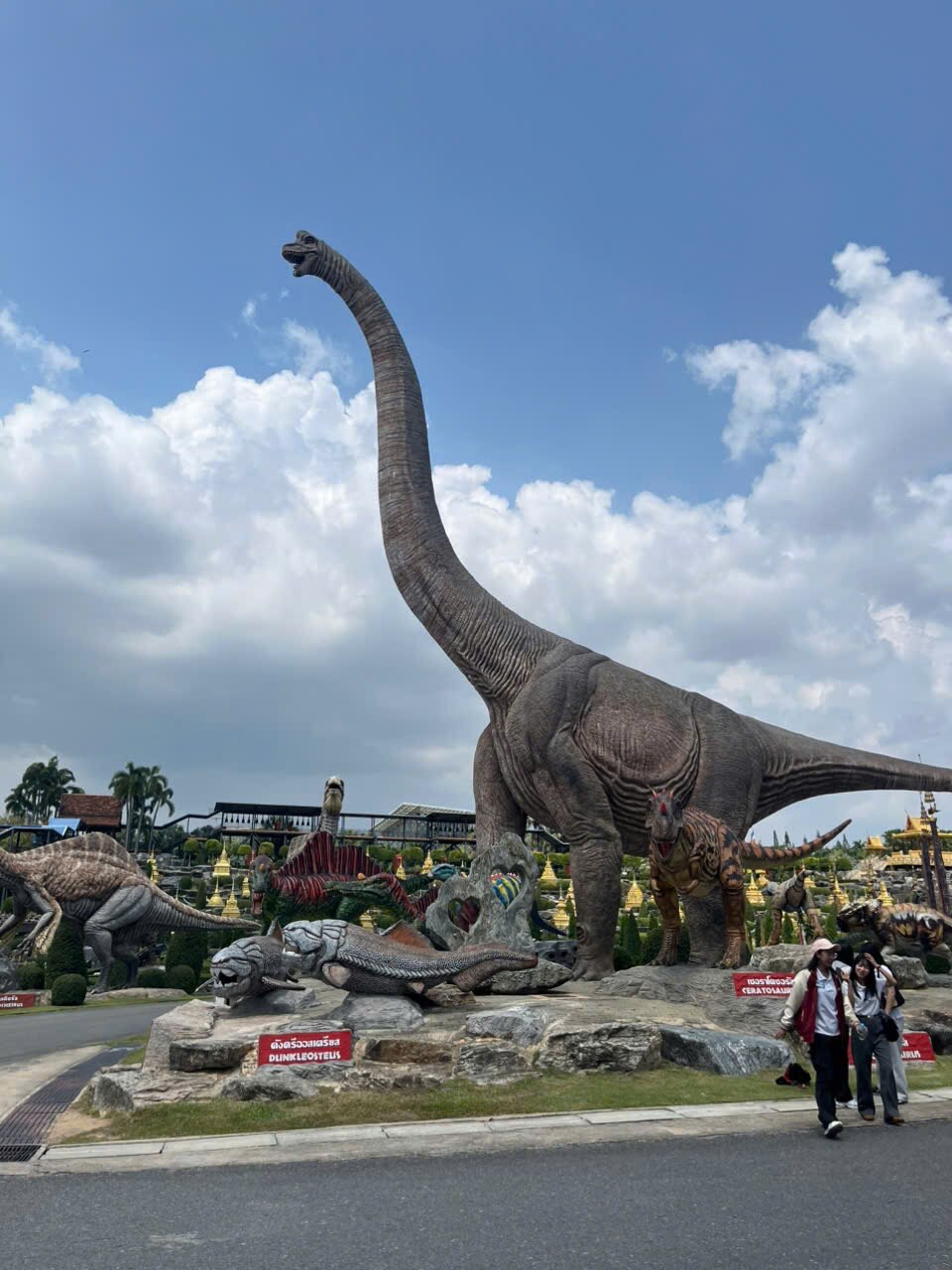 ทางเดินและแปลงสวนตกแต่งในสวนนงนุชพัทยา — พื้นที่สวนพฤกษศาสตร์ที่จัดเป็นธีมหลากหลาย