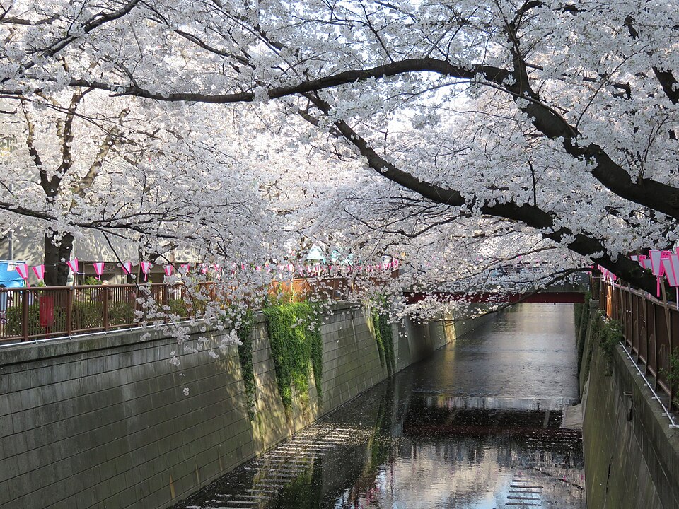 Nakameguro Daikanyama คาเฟ่