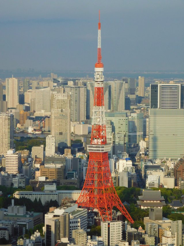 Tokyo Tower ยามค่ำคืน