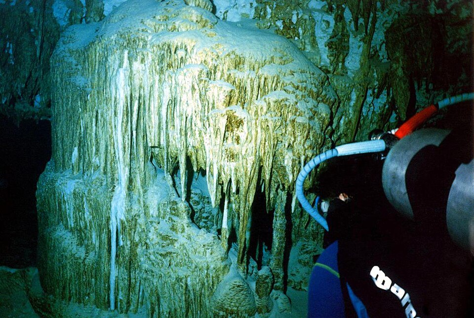 Dos Ojos Cenote ถ้ำน้ำสำหรับดำน้ำในตูลุม
