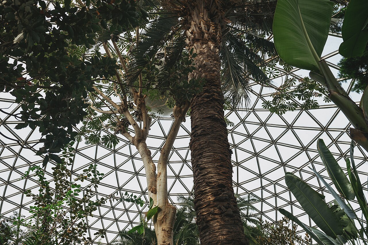 Bloedel Conservatory เรือนกระจกบนยอดเขา Queen Elizabeth Park