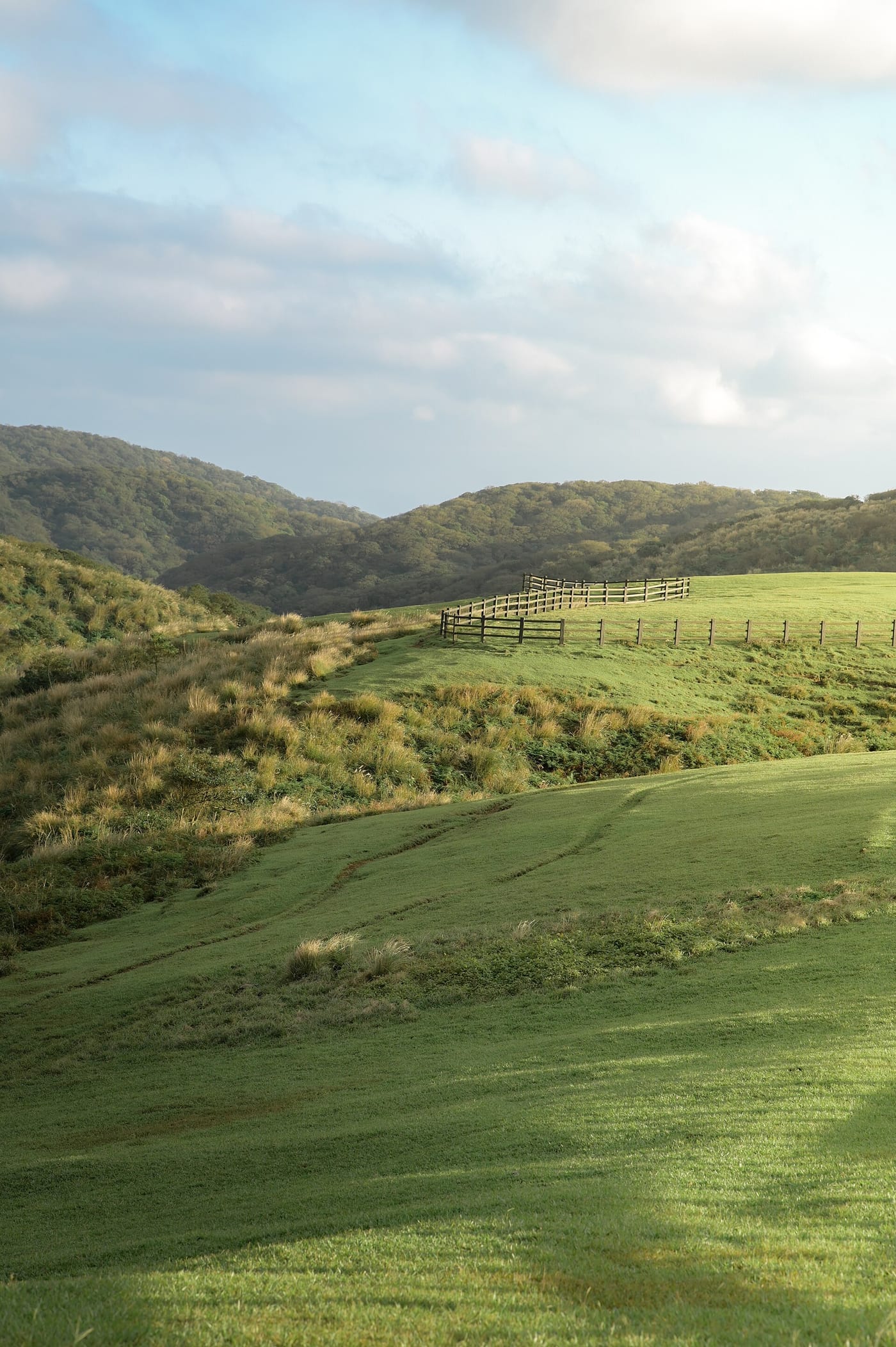 The Qingtiangang grassland in Yangmingshan National Park, wide green hills with a long wooden fence and mountains behind