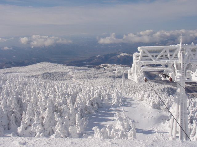 Zao Snow Monsters ต้นไม้ปกคลุมน้ำแข็งและหิมะเป็นรูปร่างคล้ายปีศาจบนยอดเขา Zao