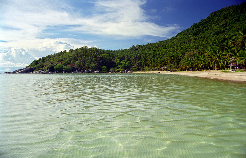 หาดศรีเรียบบนเกาะเต่า ทะเลใสสงบกับชายหาดทรายและแนวต้นมะพร้าวริมเขาเขียว