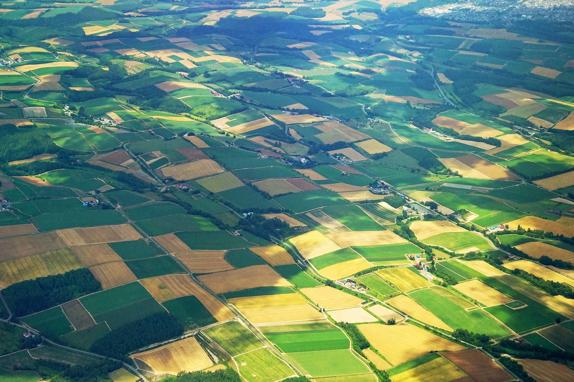 เนินผืนนา Patchwork Road บิเอย์