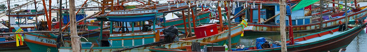 Colourful fishing boats moored in Chaloklum bay in the north of Koh Phangan