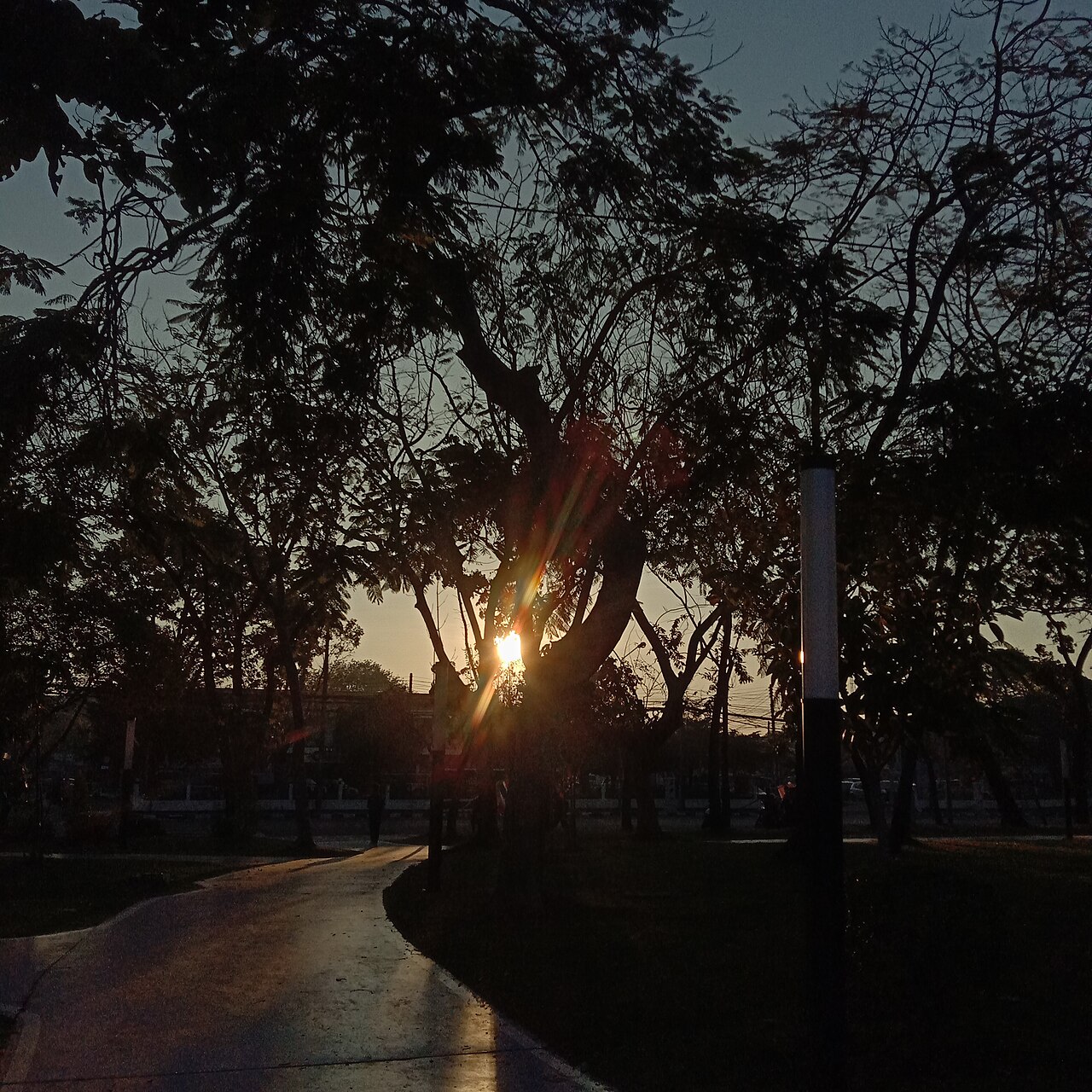 Bueng Phlan Chai, the island park in central Roi Et at sunrise, nice for a walk or a cycle and close to the hotel