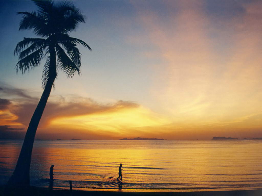 A golden sunset on Koh Samui's west coast near Lipa Noi, with a leaning coconut palm silhouetted over the sea