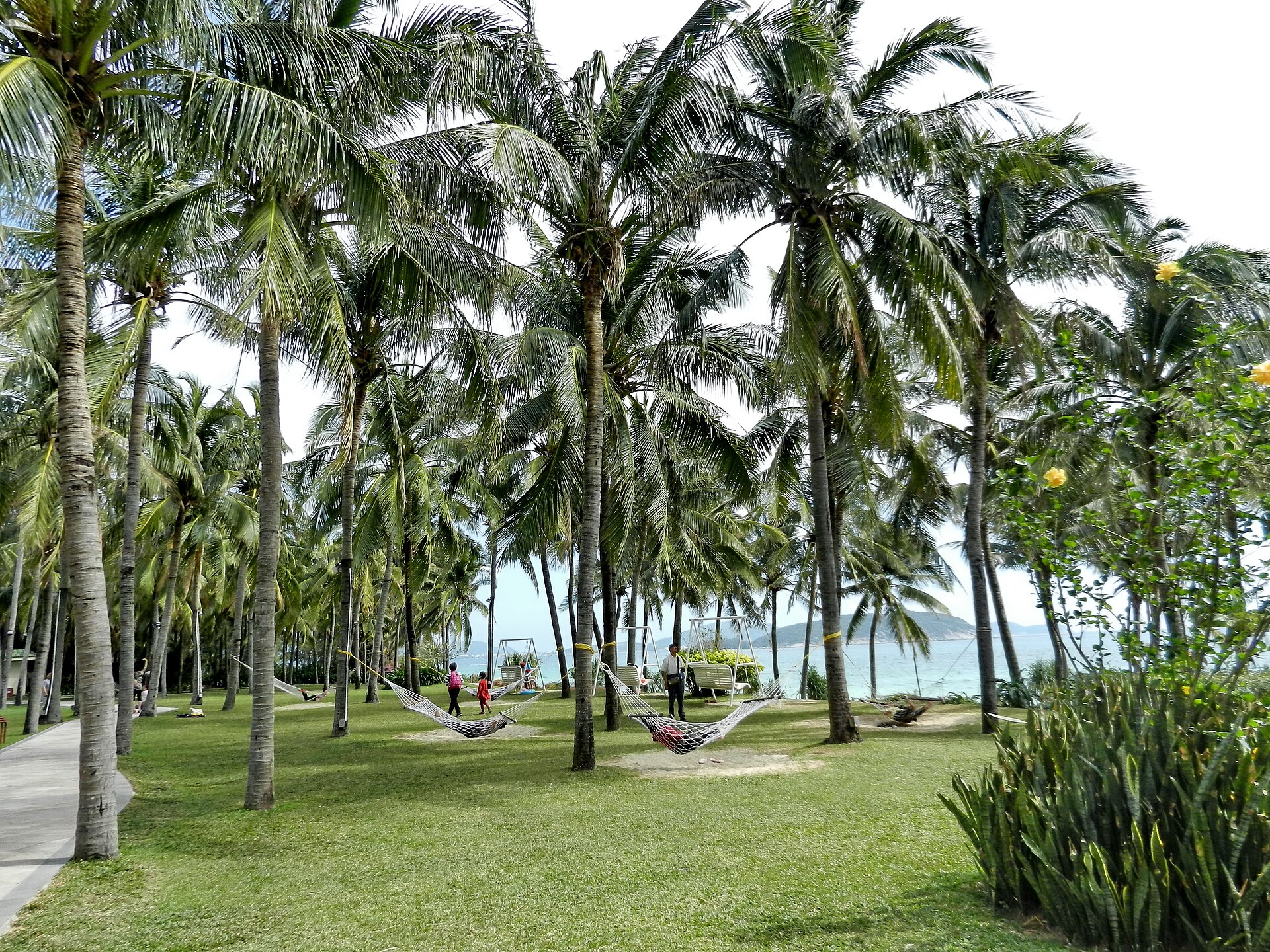 หาดอ่าวซานย่า (三亚湾) ทรายทองริมทะเลที่รีสอร์ตตั้งอยู่ มองข้ามอ่าวเห็นเกาะฟีนิกซ์
