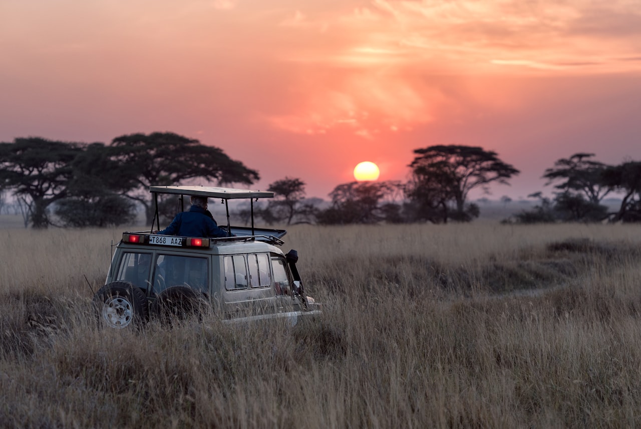 รถซาฟารีในทุ่งหญ้า ประเทศเคนยา — Safari game drive, Kenya
