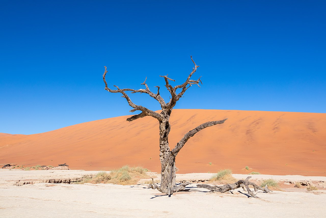 เดดฟลีย์และเนินทรายแดงโซซุสฟลีย์ ประเทศนามิเบีย — Deadvlei & red dunes of Sossusvlei, Namibia