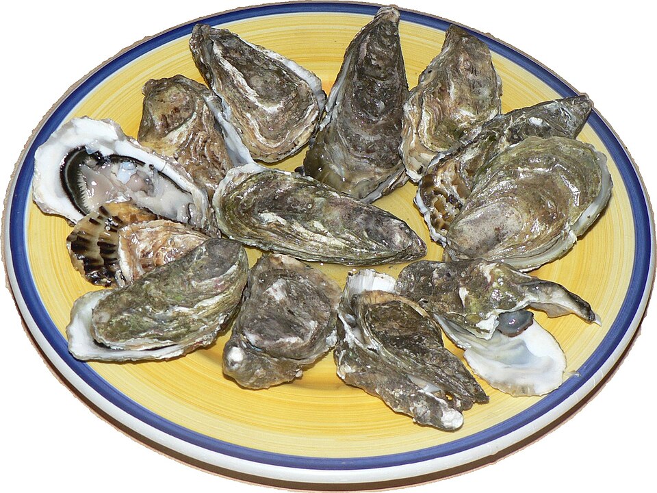 New England Oysters — Boston