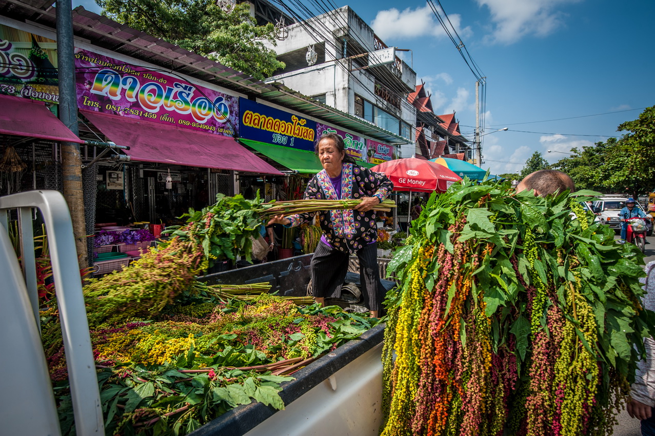 แม่ค้ากำลังจัดผักสดสีสันสดใสที่แผงในตลาดวโรรส (กาดหลวง) เชียงใหม่ มีป้ายร้านภาษาไทย
