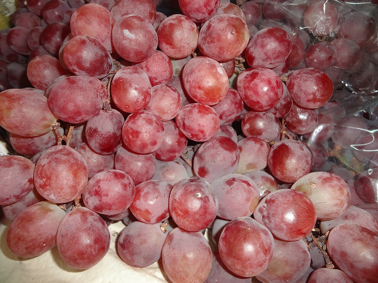 A close-up of plump fresh red grapes filling the frame, the kind grown at Khao Yai vineyards for wine and served at the vineyard restaurants