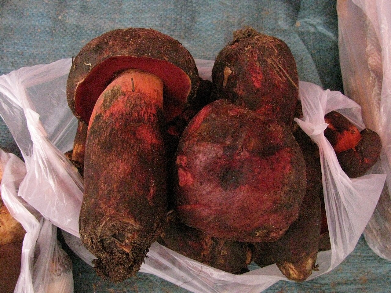 เห็ดป่ายูนนานสดจากตลาด เห็ดเจียนโส่วชิงรูพอร์สีแดงและเห็ดโบลีตัสก้านอวบในถุงพลาสติก เตรียมลงหม้อไฟเห็ดป่า