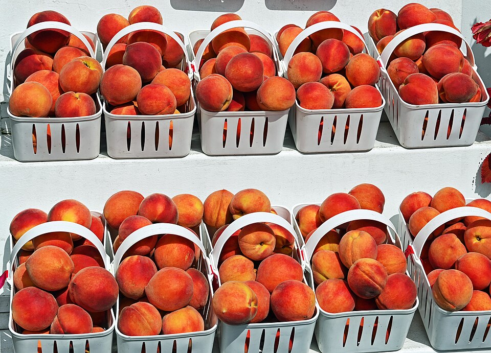 Fresh red-orange peaches in a basket