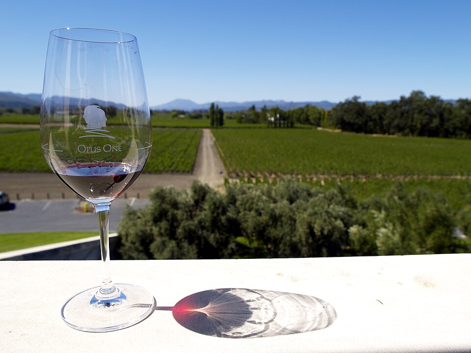 A glass of red wine at a winery
