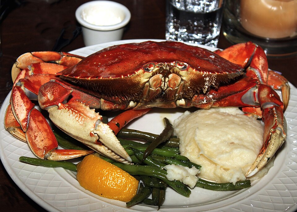 A whole cooked Dungeness crab with an orange-red shell