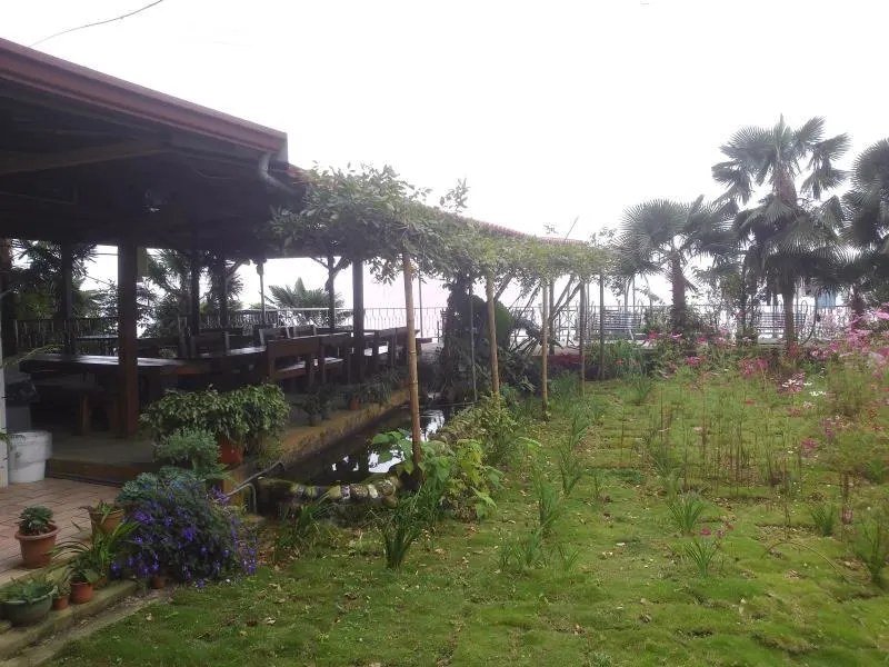 Morning mist and mountain views at Alishan