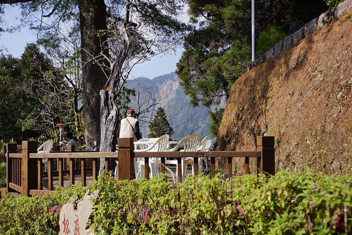 ทัศนียภาพป่าอาลีซานจากที่พัก Alishan Hotel