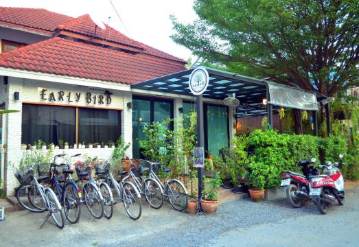 Early Bird Hostel
