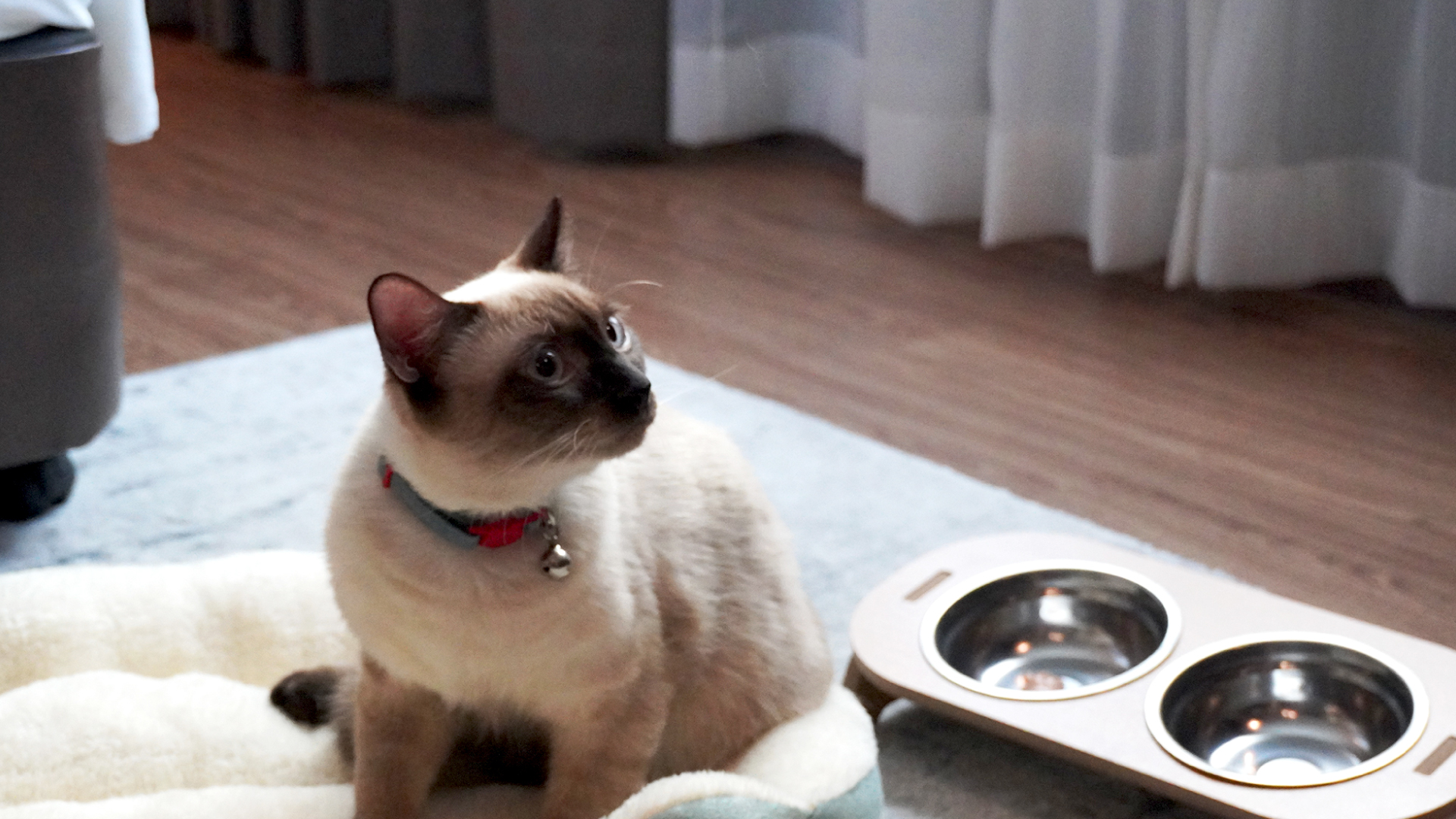 Novotel Living Bangkok Sukhumvit Legacy