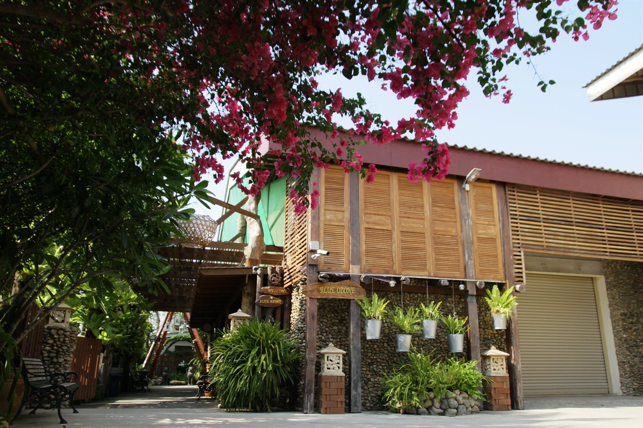 อาคารไม้สักของ Blue Ozone Resort ริมทางเดินมีดอกเฟื่องฟ้า