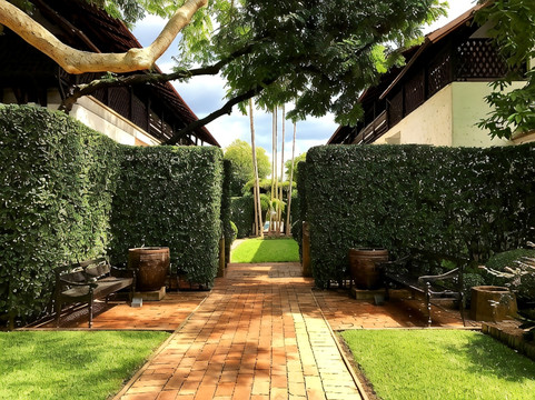 ทางเดิน courtyard กลางสวนรั้วสีเขียว บรรยากาศเงียบสงบ