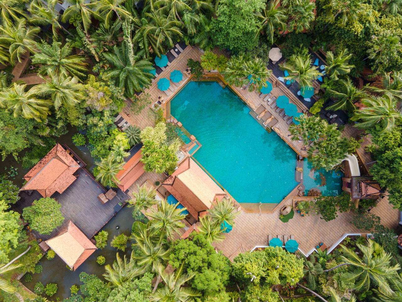 Aerial view of the pool set under coconut palms at Avani Pattaya Resort