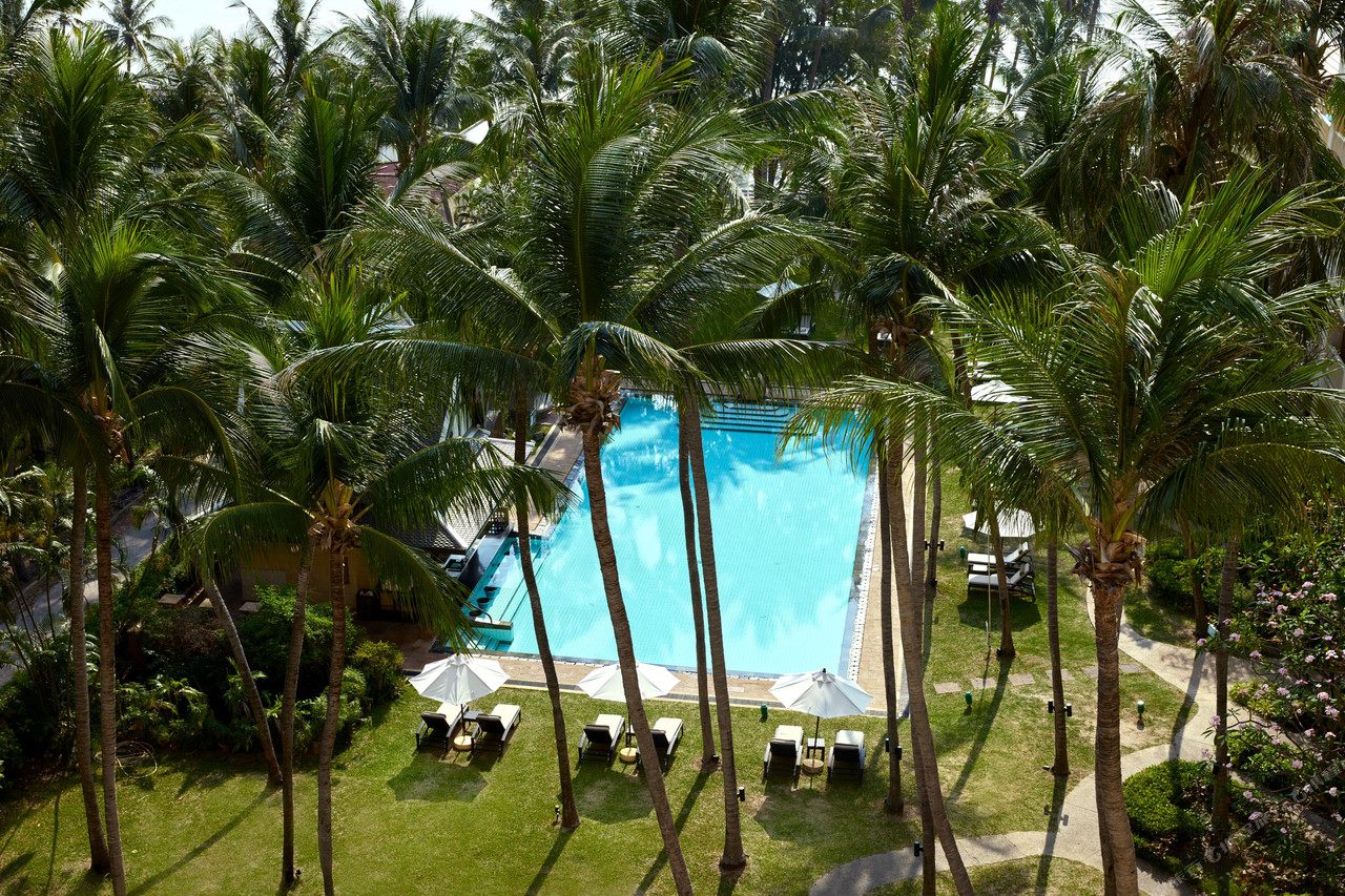 สระน้ำเกลือกลางสวนกับต้นมะพร้าวสูงที่ Dusit Thani Hua Hin