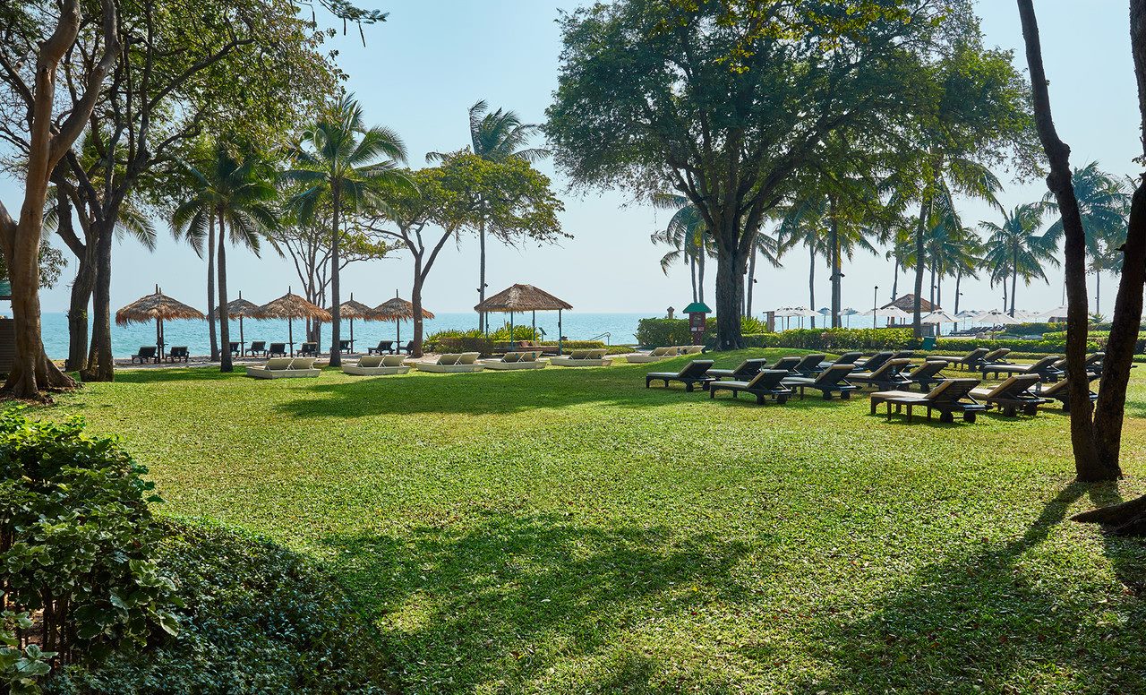 Beachfront lawn with sun loungers facing the Gulf of Thailand