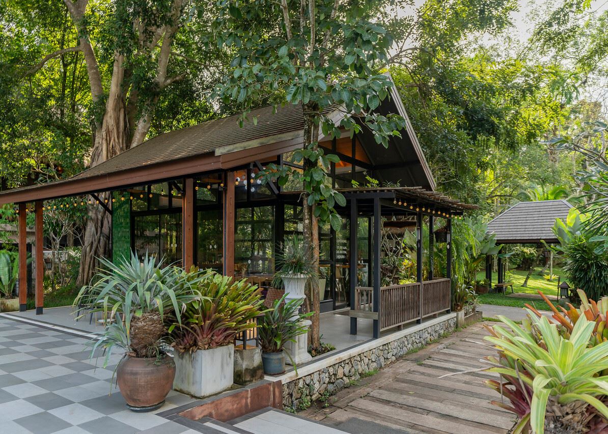 ร้านอาหารสไตล์ป่าหลังคาไม้ ลานหินริมต้นไม้ใหญ่