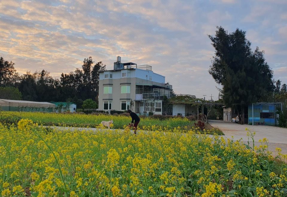 บรรยากาศสวนและทางเดินภายใน Jindunyuan B&B