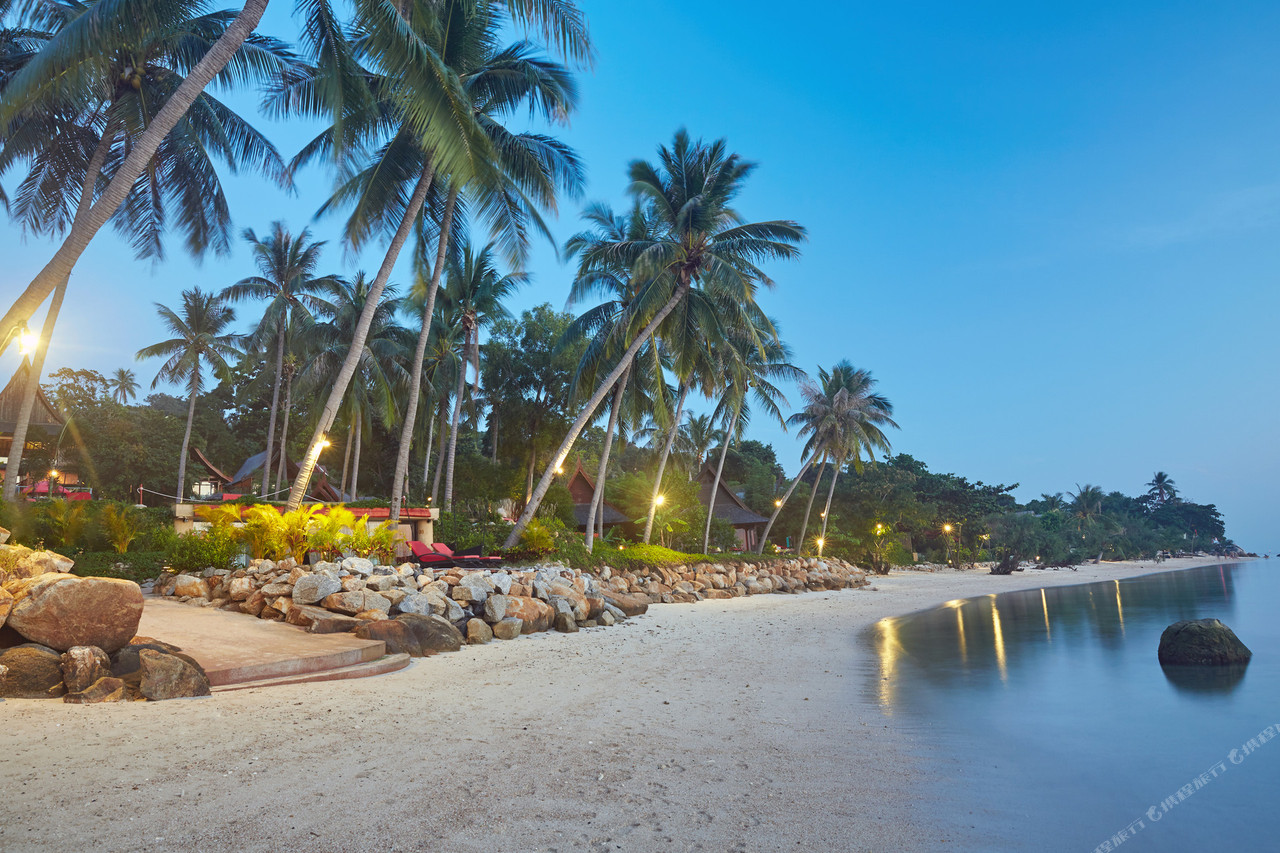 The resort beach at dusk with lit pathways and coconut palms