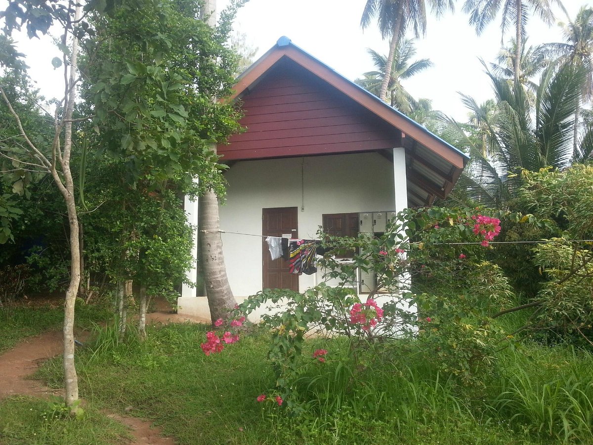 SpicyTao Backpackers
