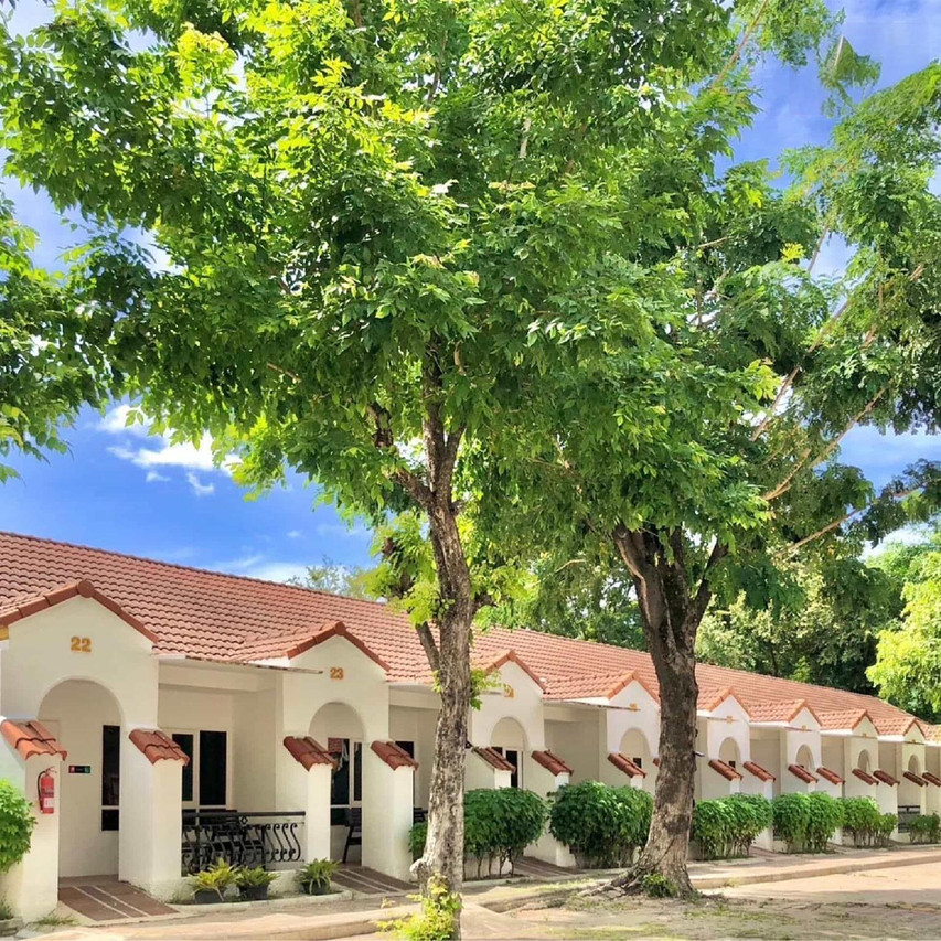 Row of single-storey villa rooms with private terraces under shade trees