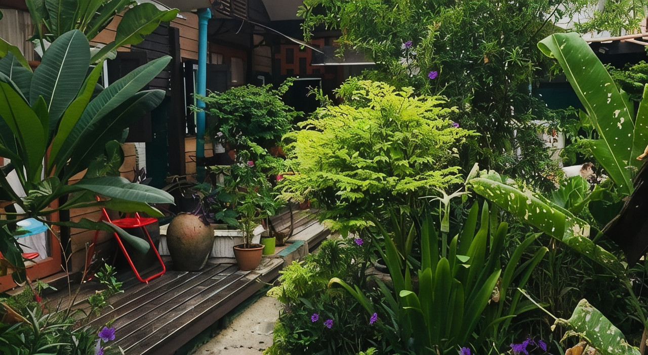 Green garden courtyard at Noom Guesthouse Lopburi with plants and a wooden deck