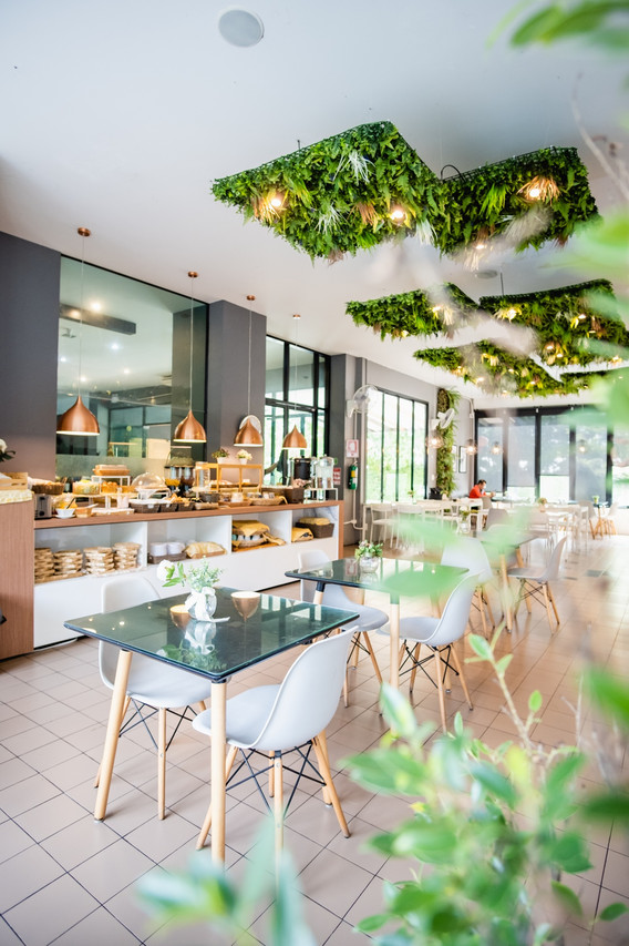 คาเฟ่กระจกใสเสิร์ฟมื้อเช้า มีสวนเฟิร์นแขวนเพดาน โคมไฟทองแดง เก้าอี้ขาวและเคาน์เตอร์บุฟเฟ่ต์