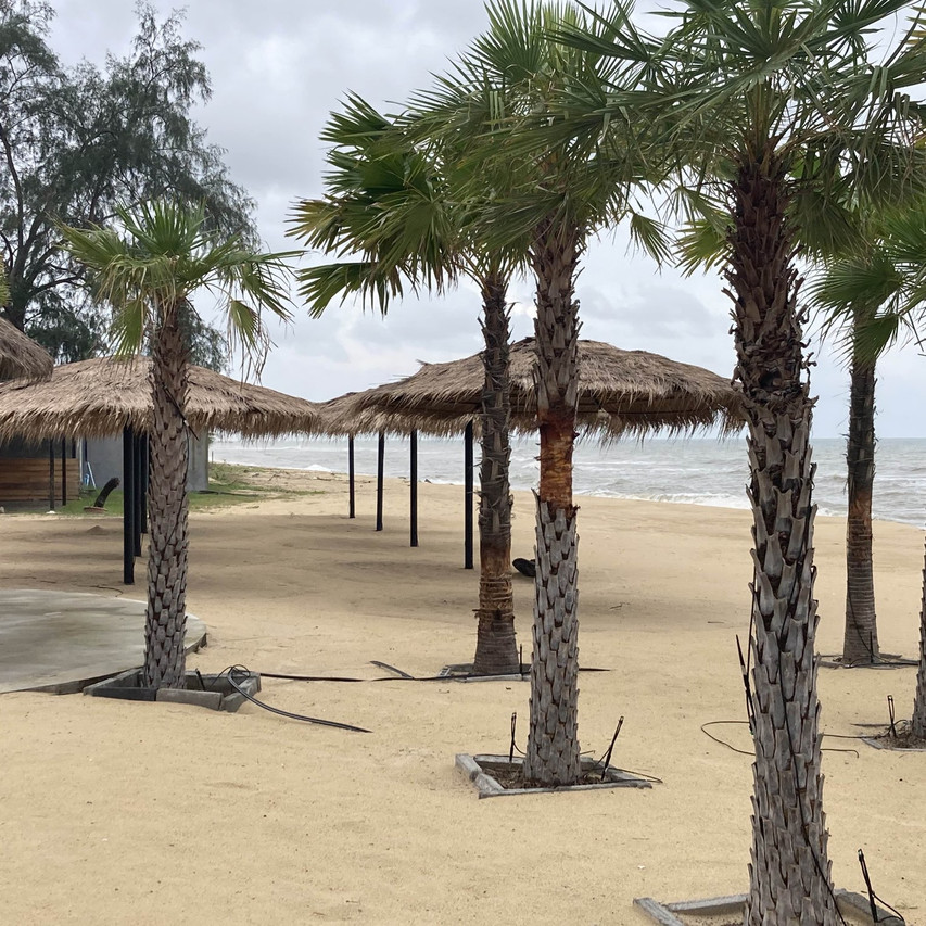 Forest Beach Resort
