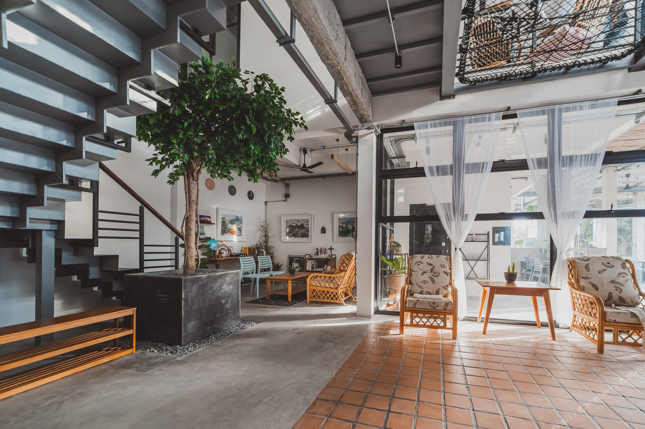 โถงนั่งเล่นชั้นล่างของ Small Town Hostel พัทลุง มีต้นไม้ใหญ่ปลูกในกระบะปูนกลางห้อง บันไดเหล็กลอย เก้าอี้หวาย ผ้าม่านโปร่งสีขาว ผนังปูนขาวแขวนภาพวาด