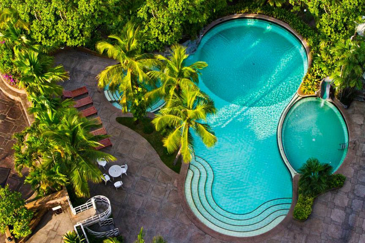 Garden outdoor swimming pool surrounded by palm trees