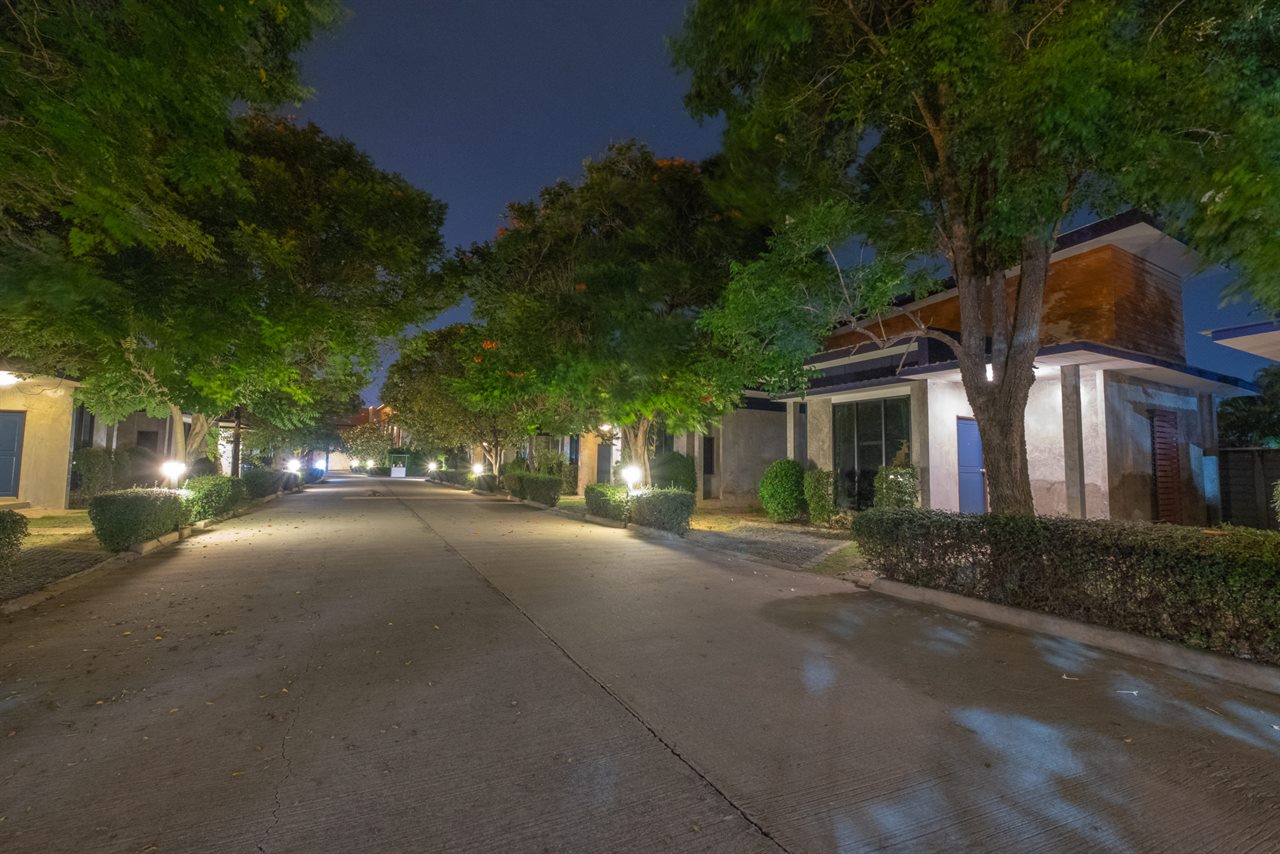 Lamp-lit internal road lined with trees through the resort grounds
